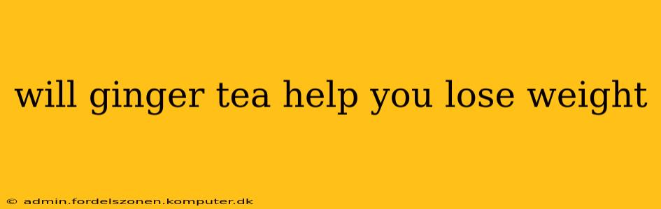 will ginger tea help you lose weight