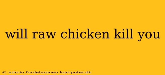 will raw chicken kill you