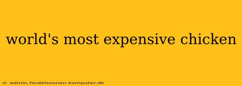 world's most expensive chicken