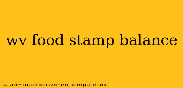 wv food stamp balance