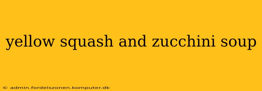 yellow squash and zucchini soup