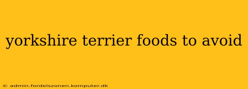 yorkshire terrier foods to avoid