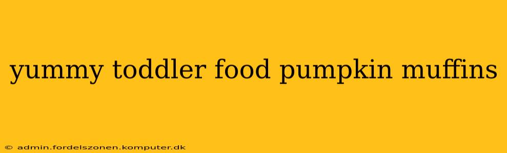 yummy toddler food pumpkin muffins