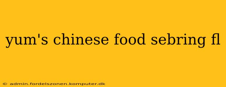 yum's chinese food sebring fl