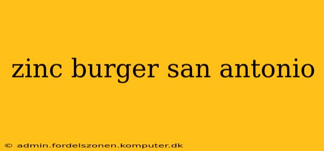 zinc burger san antonio